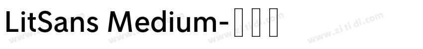 LitSans Medium字体转换